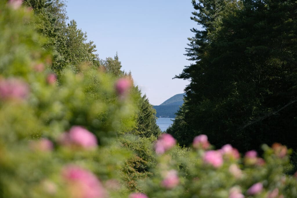 A Summer Wedding at The Fells Estate in Newbury, NH